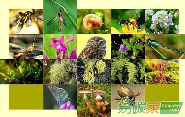 中國生態(tài)系統(tǒng)和生物多樣性經(jīng)濟(jì)學(xué)(TEEB)行動方案國際研討會