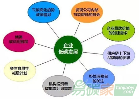 “什么是碳戰(zhàn)略？”