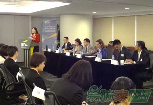 “氣候變化信息披露助力中國企業(yè)吸引綠色投資”