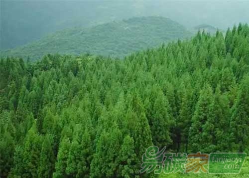 “北京首個本地林業(yè)碳匯項目實現(xiàn)交易”