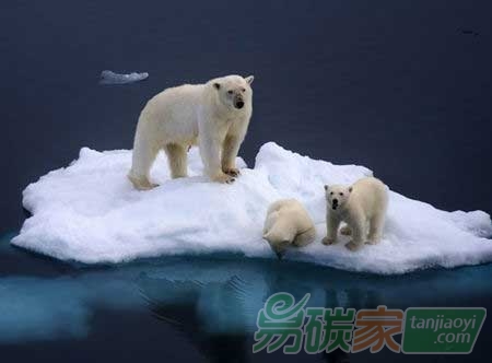 清華講述氣候變化的中國應(yīng)對