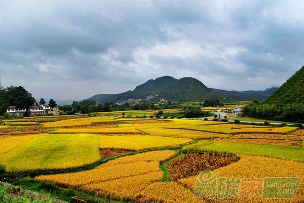 農(nóng)田固碳措施對(duì)溫室氣體減排影響的研究進(jìn)展分析