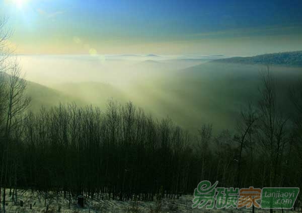 大興安嶺地區(qū)積極開展碳匯研究和碳匯項(xiàng)目建設(shè)推進(jìn)工作