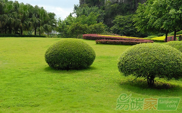 綠色成十三五發(fā)展主色調