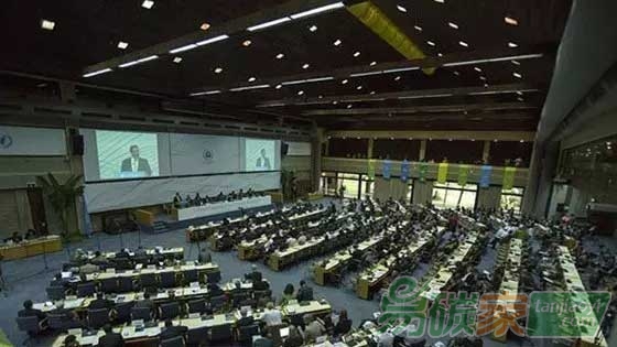 第二屆聯(lián)合國環(huán)境大會