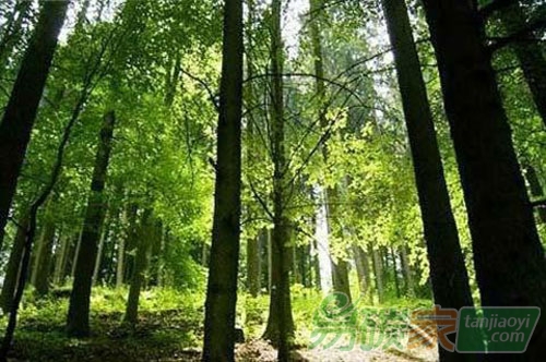 自然資本成本和環(huán)境影子價格是神馬？