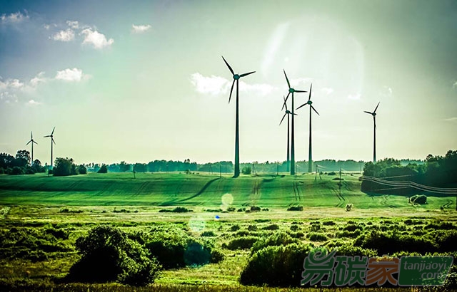 習(xí)近平：發(fā)展好光伏產(chǎn)業(yè)，讓清潔能源更好造福人民