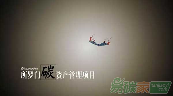 全面解析基于區(qū)塊鏈技術(shù)的碳資產(chǎn)管理解決方案