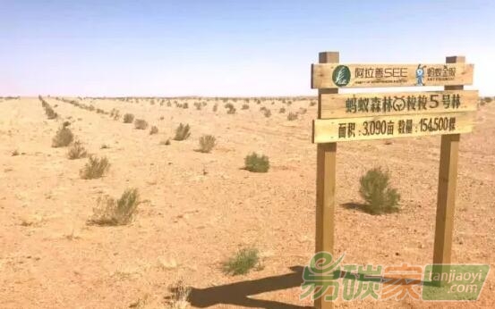 《螞蟻金服2016可持續(xù)發(fā)展報告》全文發(fā)布（附PDF文檔下載鏈接）