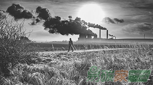 少生孩子是減少碳足跡最佳方法科學(xué)家評估個(gè)人生活方式對減排影響