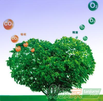 烏爾旗漢林業(yè)局碳匯產(chǎn)業(yè)為綠色發(fā)展開辟新路——內(nèi)蒙古自治區(qū)呼倫貝爾市烏爾旗漢林業(yè)局碳匯產(chǎn)業(yè)展望