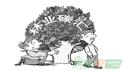 做林業(yè)碳匯項(xiàng)目來賺錢的投資人一定要看這個(gè)