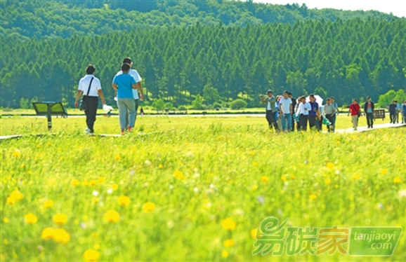 塞罕壩森林碳匯交易可運(yùn)作包裝45萬余畝上市碳交易總額可達(dá)3000多萬元