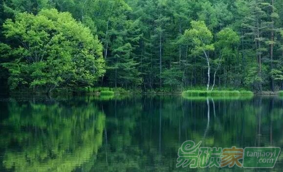 林業(yè)應(yīng)對氣候變化，聽聽專家怎么說