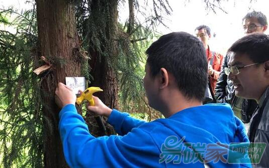 貴州省黔南布依族苗族自治州福泉市：種樹護生態(tài)