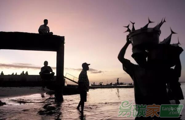 比特幣背后的區(qū)塊鏈技術(shù)，會(huì)是建立環(huán)境保護(hù)信任的關(guān)鍵嗎？