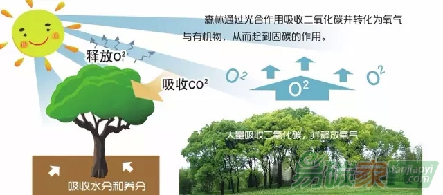 賣“碳”翁：“打包”賣空氣