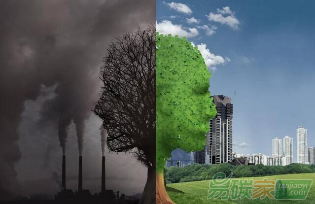 國(guó)家林業(yè)和草原局關(guān)于促進(jìn)林草產(chǎn)業(yè)高質(zhì)量發(fā)展的指導(dǎo)意見(jiàn)【林改發(fā)〔2019〕14號(hào)】