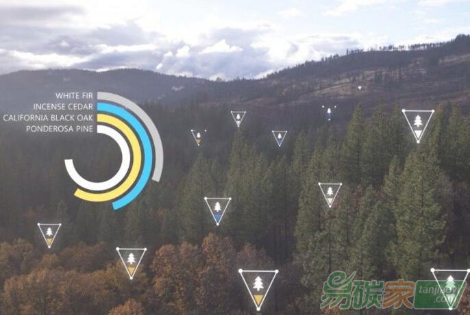 微軟將其內(nèi)部碳配額成本增加一倍以進(jìn)一步減少碳排放