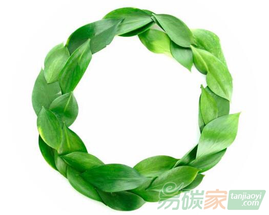 綠色經(jīng)濟(jì)、循環(huán)經(jīng)濟(jì)、低碳經(jīng)濟(jì)，三者之間究竟是什么關(guān)系？