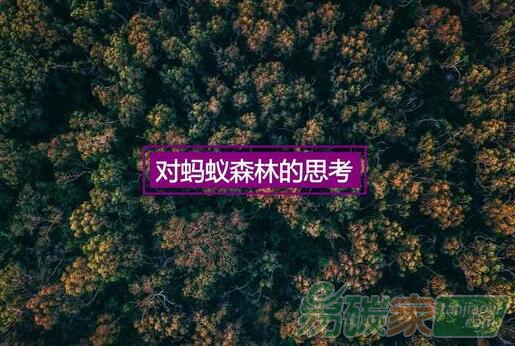 支付寶螞蟻森林背后的產(chǎn)品運(yùn)營套路