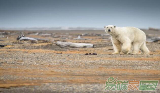 氣候變化成為金融風(fēng)險的焦點(diǎn)