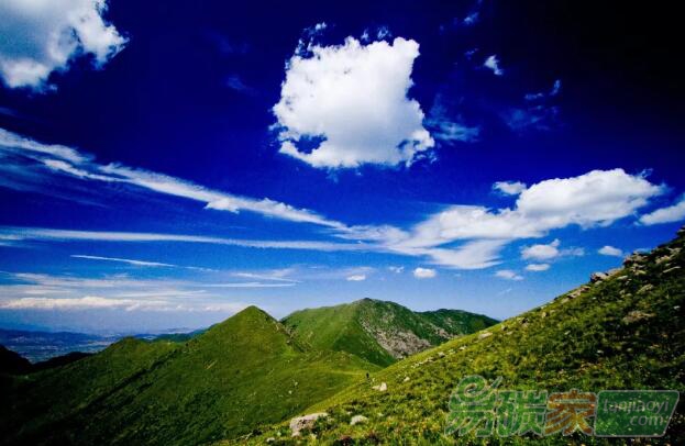 《森林法》大修，專家呼吁增加信息公開、森林碳匯等內(nèi)容