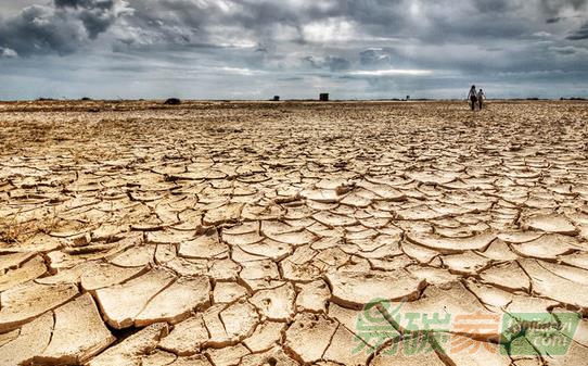 全球變暖、不正常降雪……氣候正重建適者生存法則？