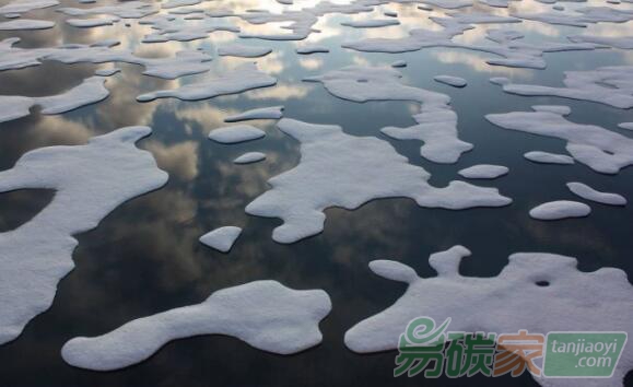 英國任命2020年聯(lián)合國氣候變化大會主席