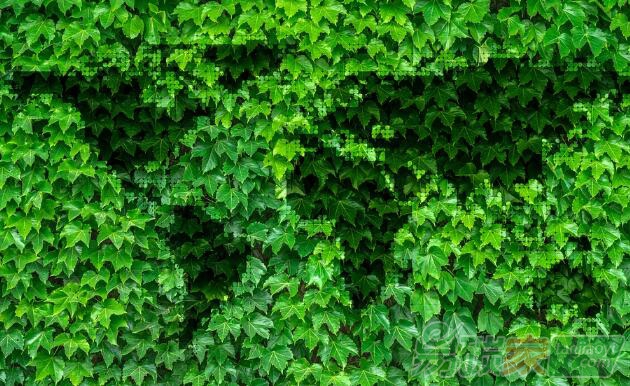 國家人社部新職業(yè)“碳排放管理員”|