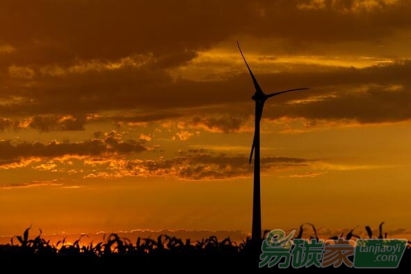 常紀(jì)文：推進(jìn)碳達(dá)峰碳中和，要防止哪些偏差，把握哪些尺度？