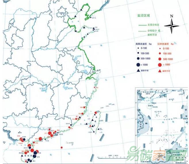 CCER重啟 除了林業(yè)碳匯 這個(gè)被忽視的碳匯市場正在崛起